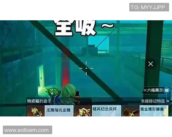 黄芳的和平精英人生:深度对话探索游戏背后的故事与人生哲学