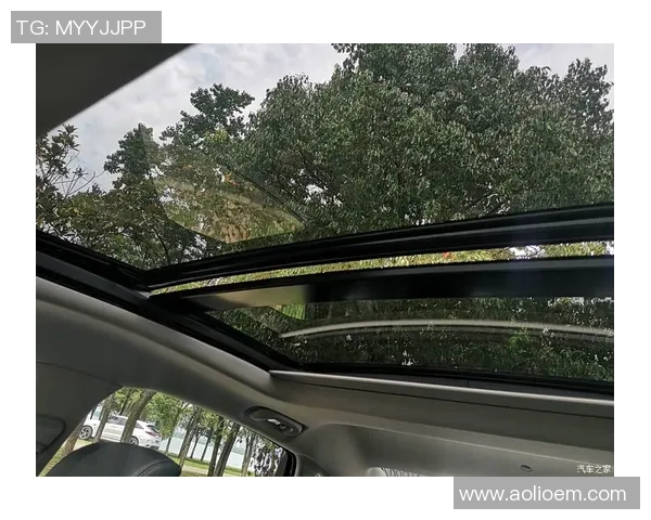 武汉攀岩队团队协作引发热议与争议的背后故事与思考